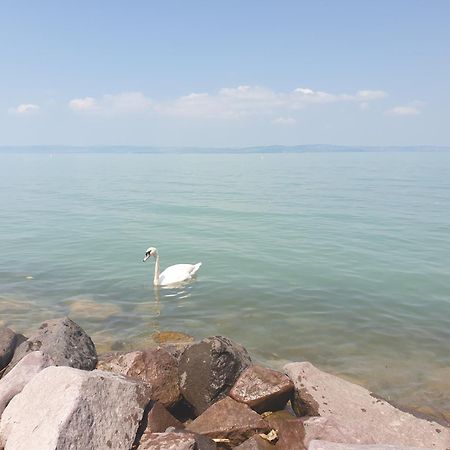 Balaton Lakeside Residence Σίοφοκ Εξωτερικό φωτογραφία